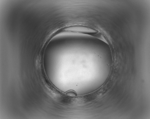 X0000063500107200601201423