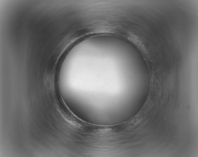 X0000063500108200601201423