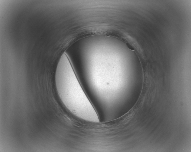 X0000063500113200601201423