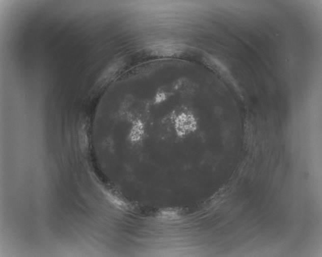 X0000063500114200601201423