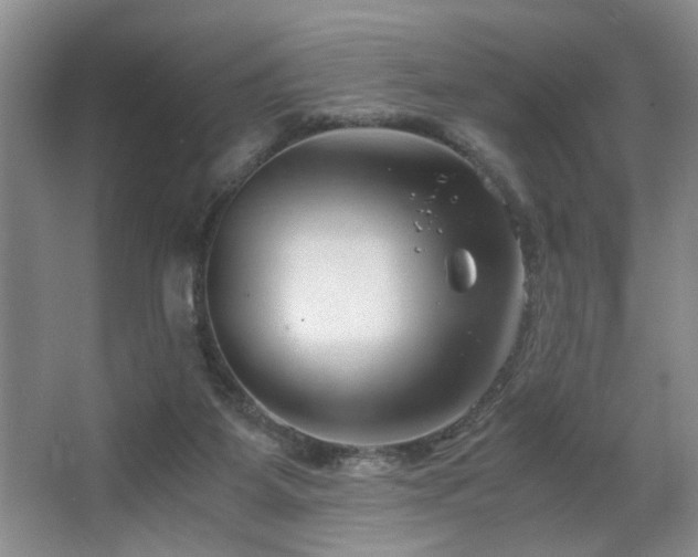 X0000063500115200601201423