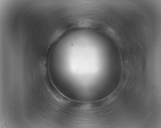 X0000063500116200601201423