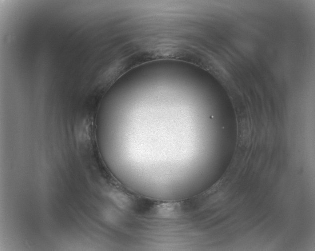 X0000063500126200601201423