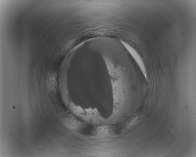 X0000063500127200601201423