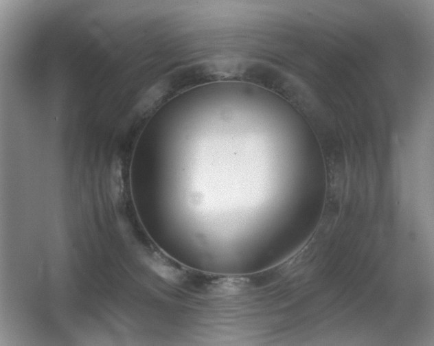 X0000063500128200601201423