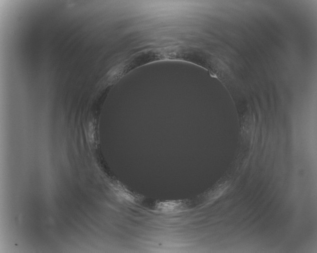 X0000063500139200601201422