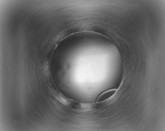 X0000063500144200601201422