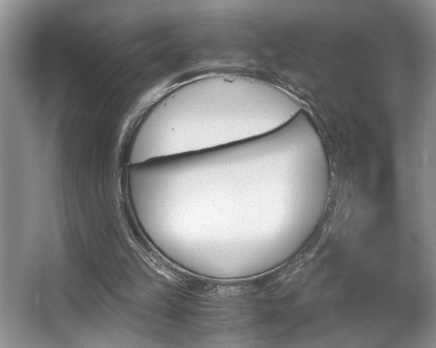 X0000063500149200601201422