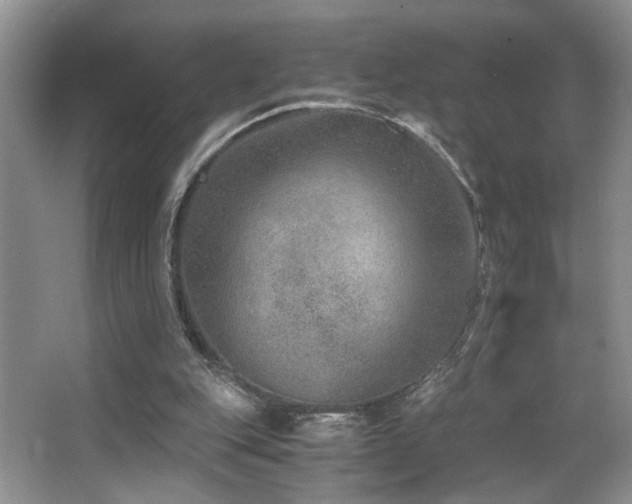 X0000063500151200601201422