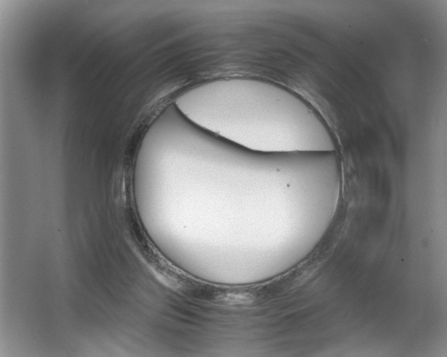 X0000063500157200601201422