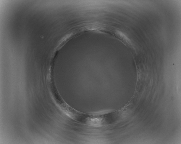 X0000063500163200601201422