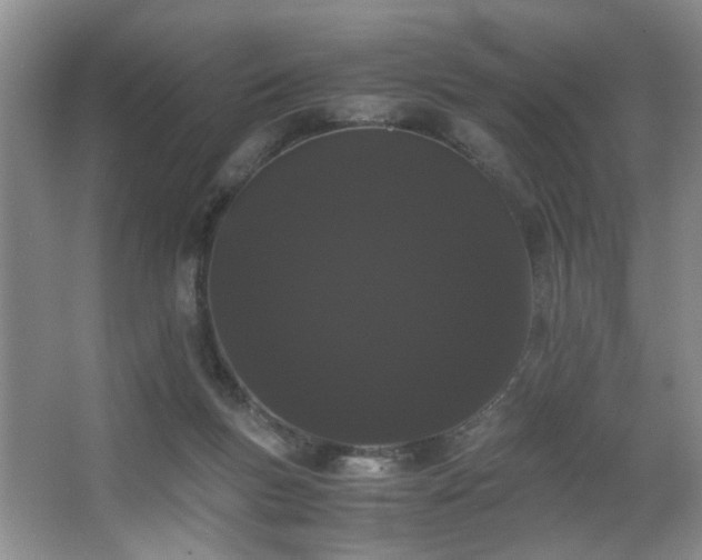 X0000063500167200601201422