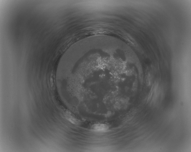 X0000063500169200601201422