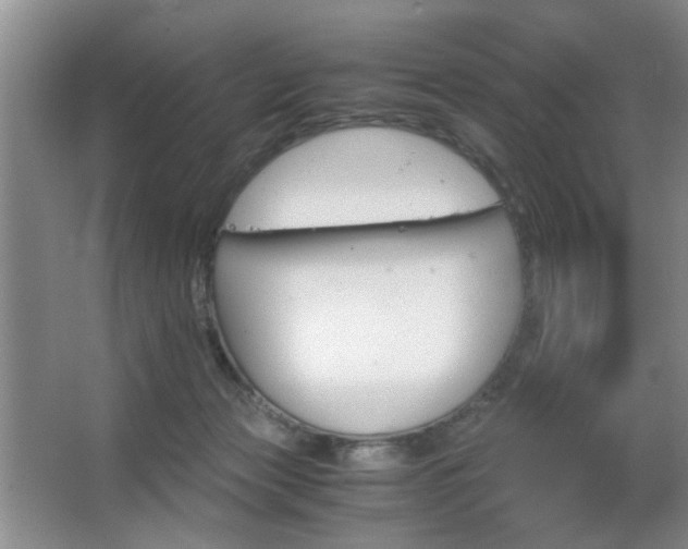 X0000063500173200601201422