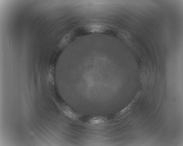 X0000063500175200601201422