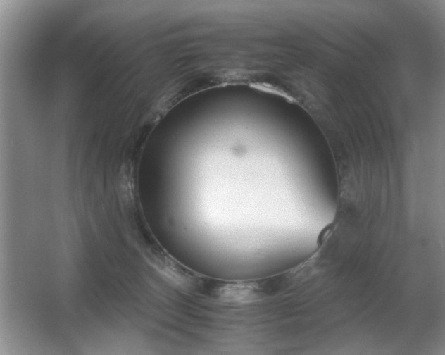 X0000063500179200601201422