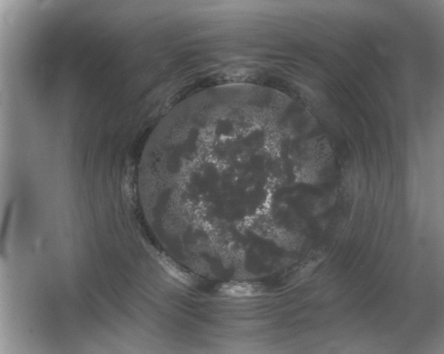 X0000063500181200601201422