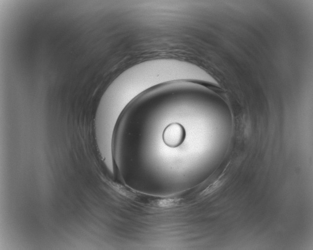 X0000063500184200601201422