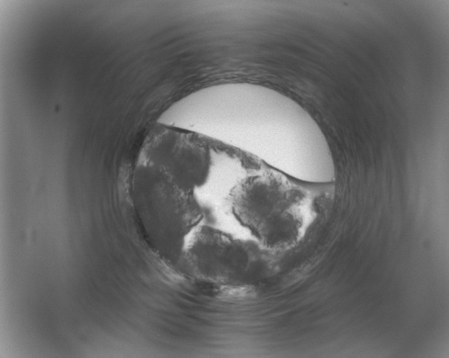 X0000063500185200601201422