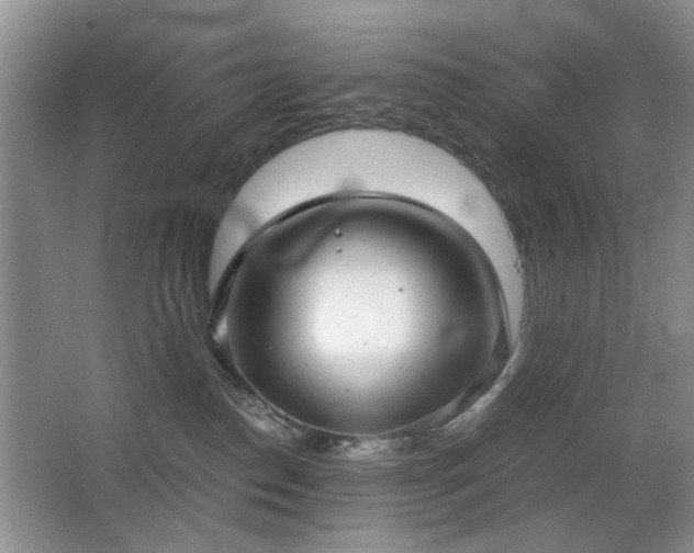 X0000063500186200601201422