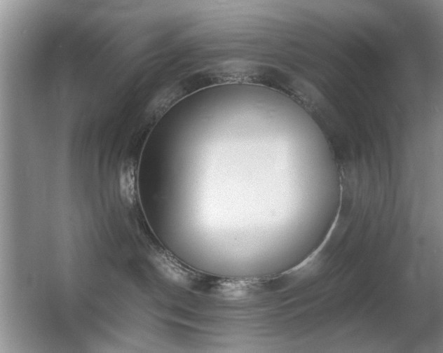 X0000063500190200601201422
