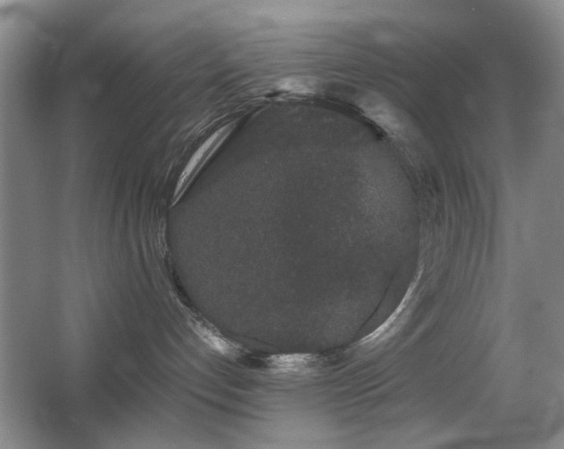 X0000063500192200601201422