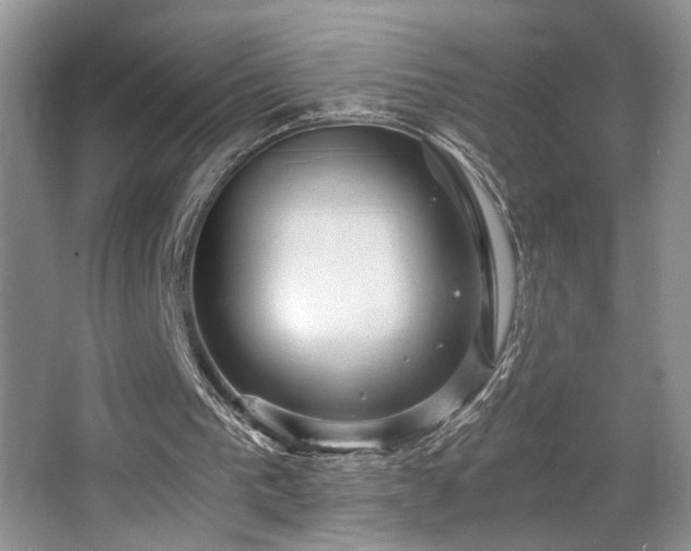 X0000063500193200601201421