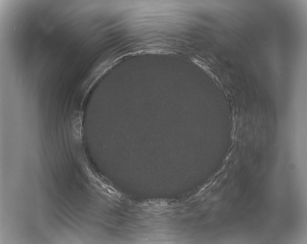 X0000063500194200601201421