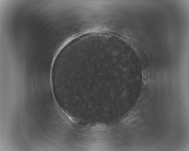 X0000063500196200601201421