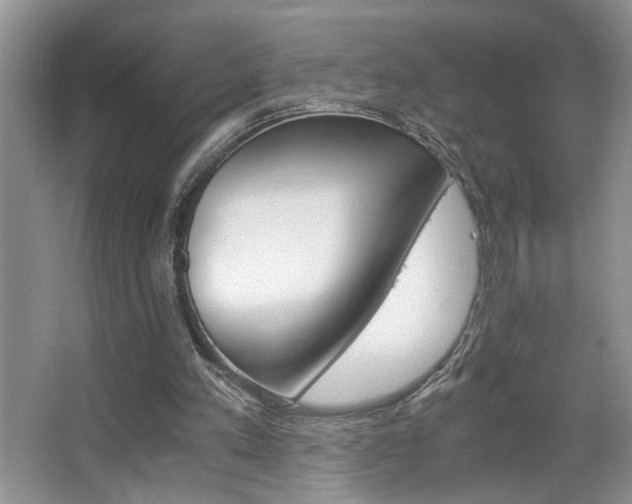 X0000063500197200601201421