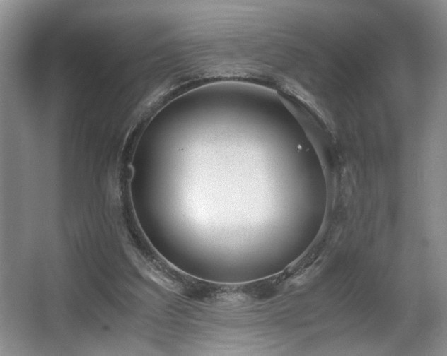 X0000063500203200601201421