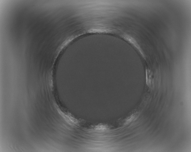 X0000063500204200601201421