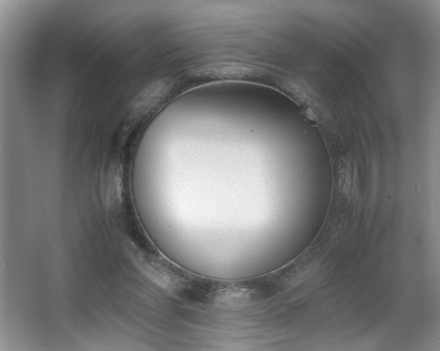 X0000063500206200601201421