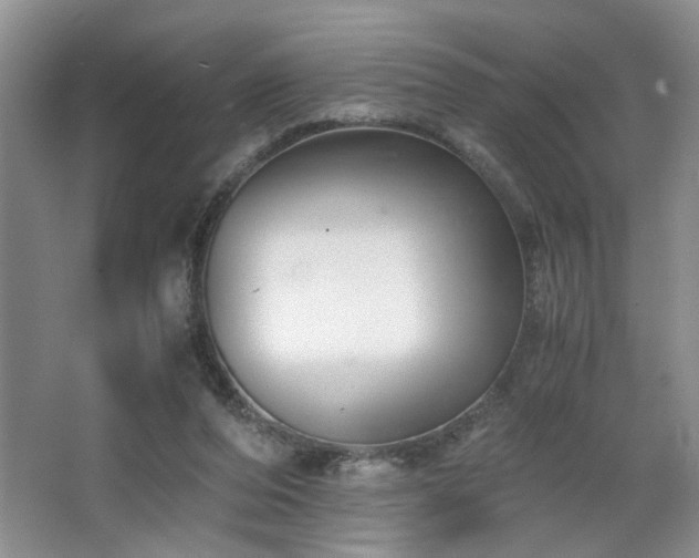 X0000063500208200601201421
