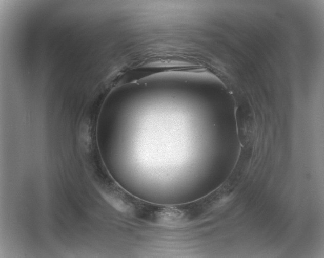 X0000063500215200601201421