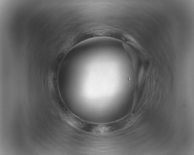 X0000063500217200601201421