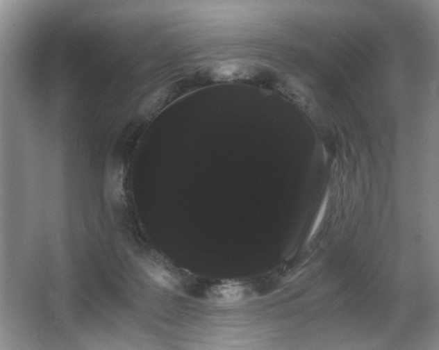 X0000063500219200601201421