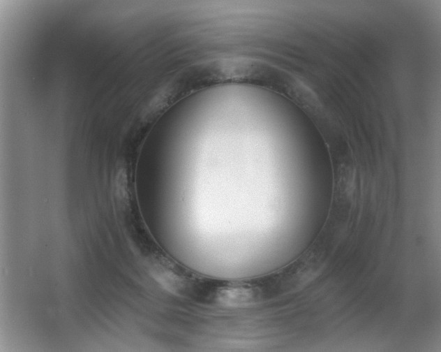 X0000063500220200601201421