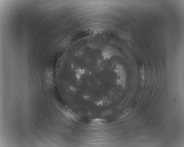 X0000063500222200601201421