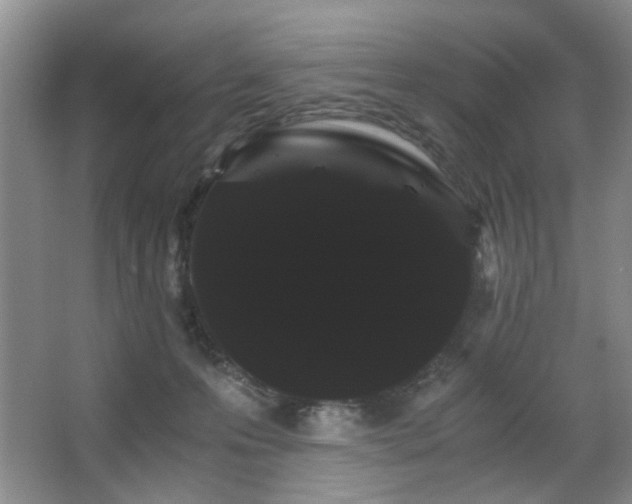 X0000063500223200601201421