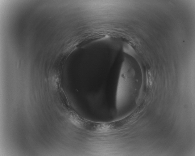X0000063500235200601201421