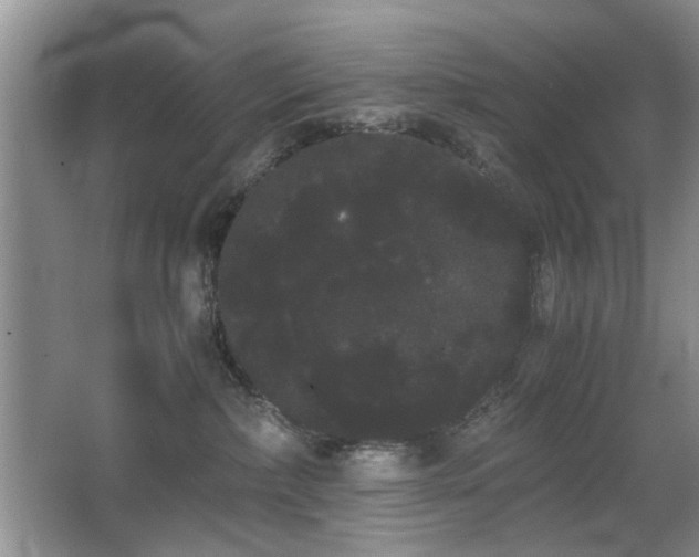 X0000063500236200601201421