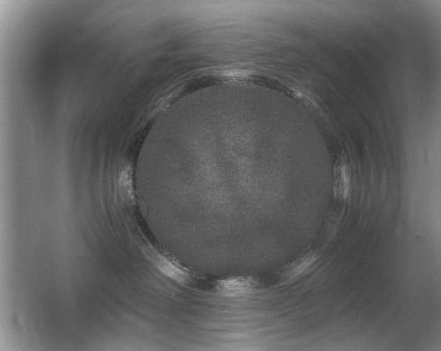 X0000063500238200601201421