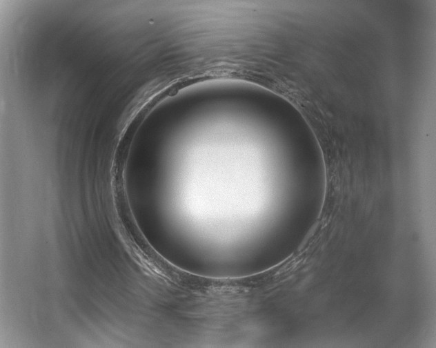 X0000063500242200601201420