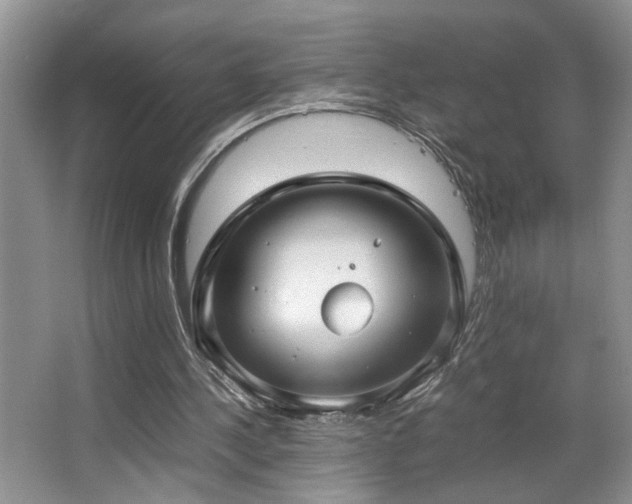 X0000063500244200601201420