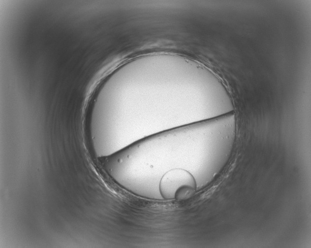 X0000063500245200601201420