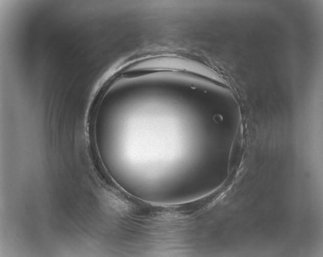X0000063500246200601201420