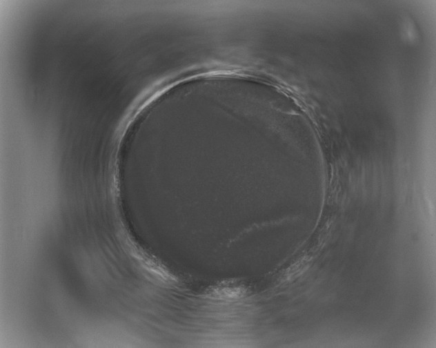 X0000063500247200601201420