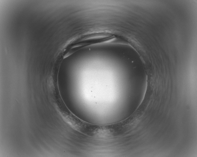 X0000063500256200601201420