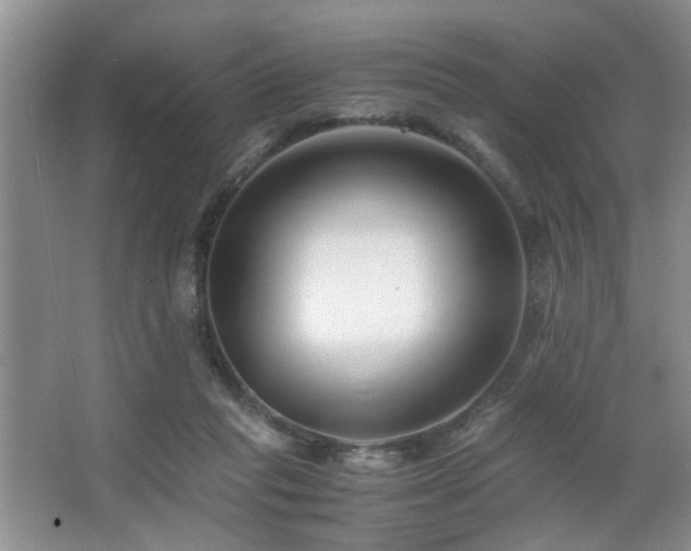 X0000063500261200601201420
